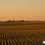 La Corte Suprema revocó amparo por Ley de Tierras: clave la legitimación
