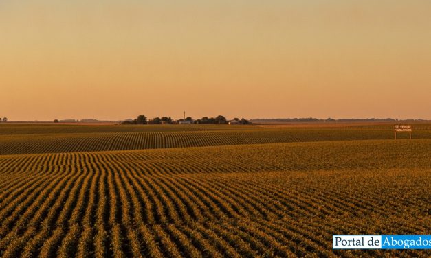 La Corte Suprema revocó amparo por Ley de Tierras: clave la legitimación