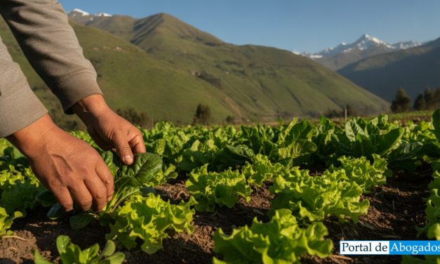 Perú suspende glifosato y otros plaguicidas en alimentos vegetales por fallo del TC
